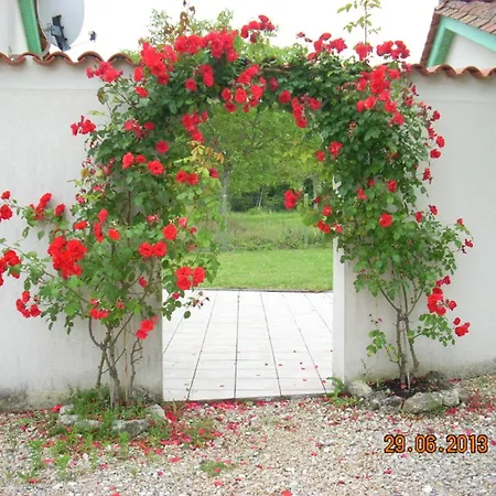 Landsted Maison Avec Terrasse Et Jardin A St Meard De Drone, Animaux Acceptes - Fr-1-616-90 *